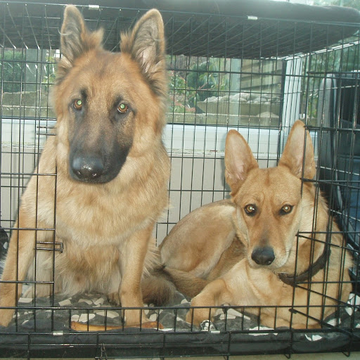 Julie Mosley Photo 12