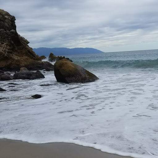 Patricia Warren Photo 13