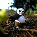 Michael Zeng Photo 16