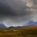 Nan Rains Photo 6