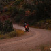 Jeff Welker Photo 20