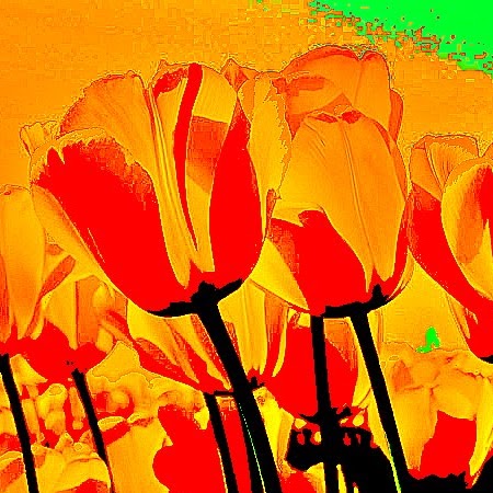 Maggie Gauthier Photo 2