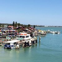 Cathy Hogan Photo 40