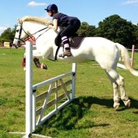 Alice Jarvis Photo 21