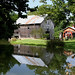 Virginia Cook Photo 11