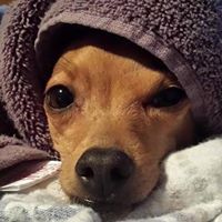 Laura Weisberg Photo 16