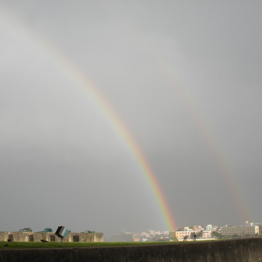 Maureen Miller Photo 35