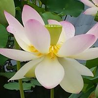 Susan Hagan Photo 17