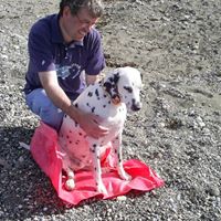 Henry Groves Photo 7