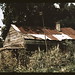 Rodney Post Photo 12