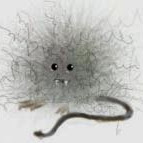 Nancy Barnhart Photo 5