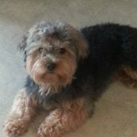 Judy Douglas Photo 8