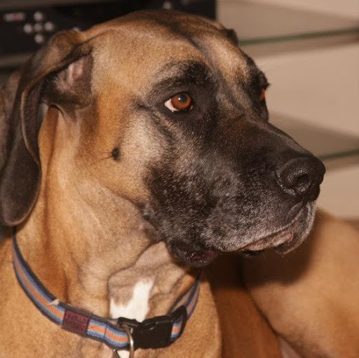 Michael Nesbitt Photo 29