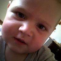 Neil Staples Photo 4