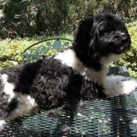 Ralph Mason Photo 27