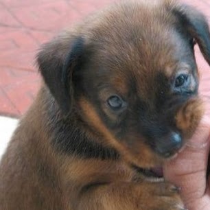 Sara Christie Photo 39