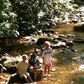 Nancy Willis Photo 7
