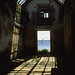 James Stanfield Photo 18