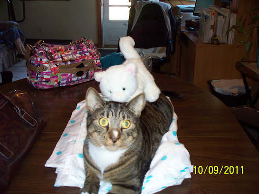 John Haight Photo 17