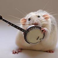 Rick Rhodes Photo 36