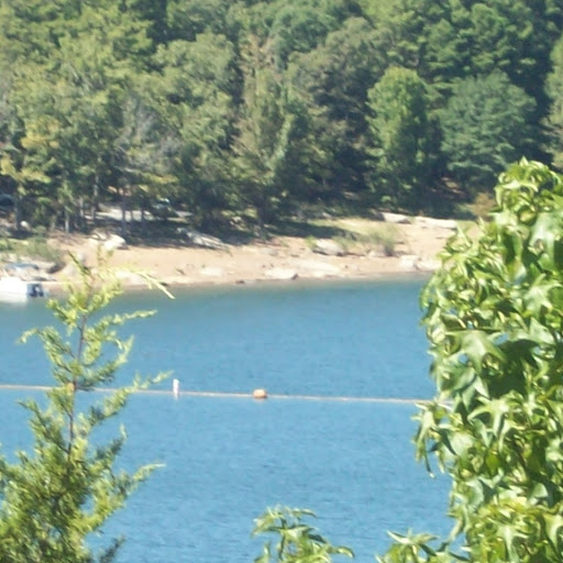 Donna Mcmillan Photo 16