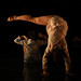 Stephanie Blackmon Photo 36