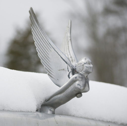 Miles Mcdonald Photo 20