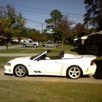Allan Perkins Photo 18