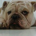 Michael Macaluso Photo 10