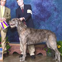 Darryl Meeks Photo 4