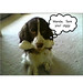 Jeanine Cook Photo 27