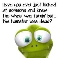 Mark Pence Photo 22 Mark Pence Photo 22