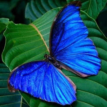 Megan Cotter Photo 5