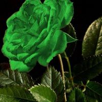 Christina Mullins Photo 34