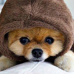 Marcus Boyd Photo 37