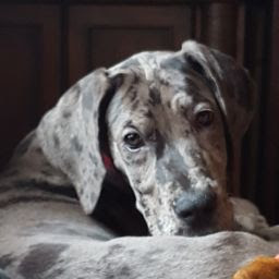 Theresa Sandberg Photo 1