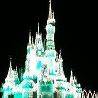 Jodi Phillips Photo 7