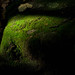 Eugenia Moss Photo 10