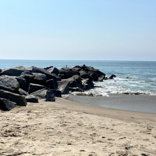 Fredrick Cook Photo 4