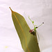 Debra Martin Photo 15