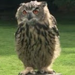 Tracy Healy Photo 13