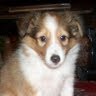 Debra Mcconnaughey Photo 1