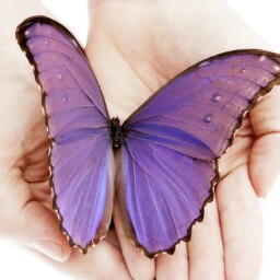 Brenda Washington Photo 33