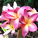Jeannie Bloom Photo 7