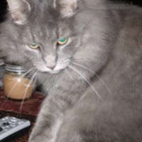 Alicia Daly Photo 13