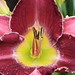 Pamela Spencer Photo 42