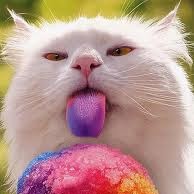 Alyssa Fleming Photo 28