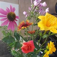 Sandra Bowling Photo 22