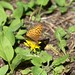 John Spangle Photo 12