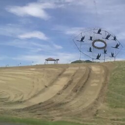 Richard Fitzsimons Photo 8